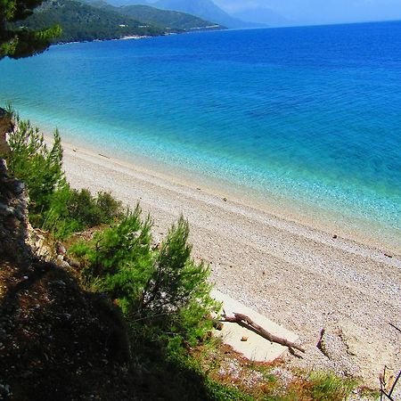 Victoria Cottage Camping Dole Blato  エクステリア 写真